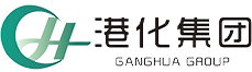 港化集团logo